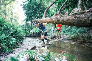 BIB: 
                            <button type="button" onclick="openModal(25433864)" class="btn btn-primary btn-sm float-right btn-popup" data-toggle="modal" data-target=".modal-high-quality">
                        <i class="fas fa-shopping-cart"></i> Add to Cart
                    </button>
                                            <button type="button" onclick="isThisMe(25433864, true)" class="btn btn-success btn-sm float-right btn-popup btn-isme hidden" data-toggle="tooltip" data-placement="bottom" title="นี่คือรูปของคุณใช่ไหม คลิกที่นี่เพื่อเอาเข้าอัลบั้ม">
                        <i class="fas fa-plus"></i> Add to album
                    </button>
                    <button type="button" onclick="isThisMe(25433864, false)" class="btn btn-warning btn-sm float-right btn-popup btn-isnotme hidden">
                        <i class="fas fa-ban"></i> Remove from album
                    </button>